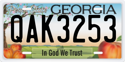 GA license plate QAK3253
