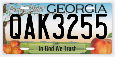 GA license plate QAK3255