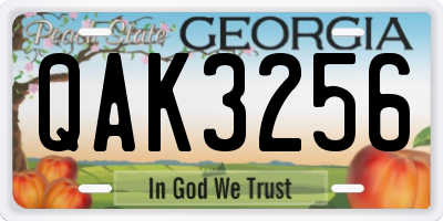 GA license plate QAK3256