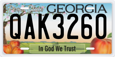 GA license plate QAK3260