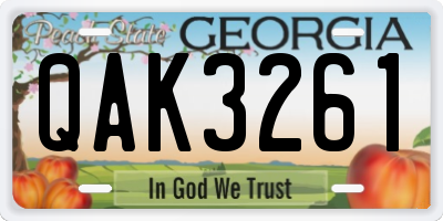 GA license plate QAK3261