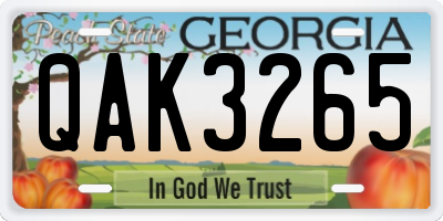 GA license plate QAK3265