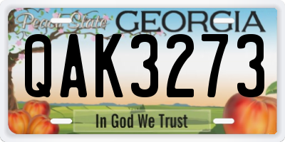 GA license plate QAK3273