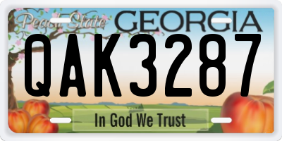 GA license plate QAK3287
