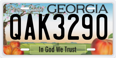 GA license plate QAK3290