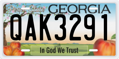 GA license plate QAK3291