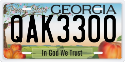GA license plate QAK3300