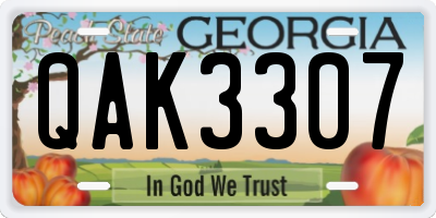 GA license plate QAK3307