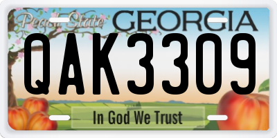 GA license plate QAK3309