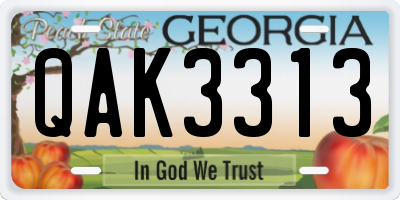 GA license plate QAK3313