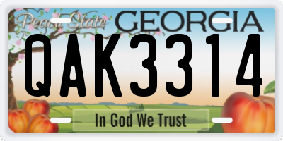 GA license plate QAK3314