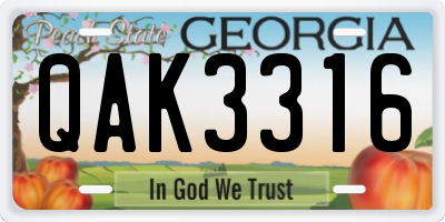 GA license plate QAK3316