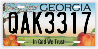 GA license plate QAK3317