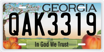 GA license plate QAK3319