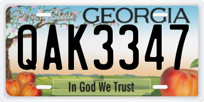 GA license plate QAK3347
