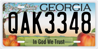 GA license plate QAK3348