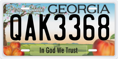 GA license plate QAK3368
