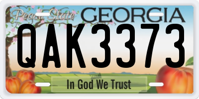 GA license plate QAK3373
