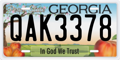 GA license plate QAK3378