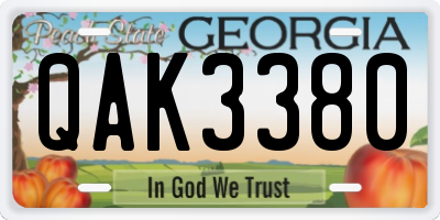 GA license plate QAK3380