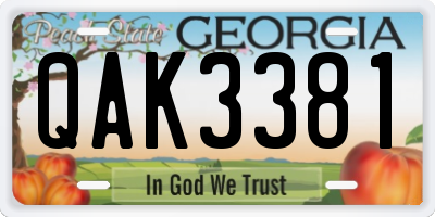 GA license plate QAK3381