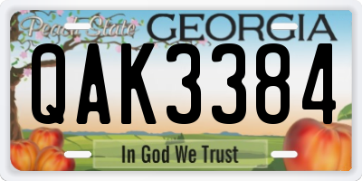 GA license plate QAK3384