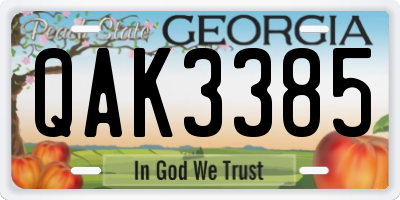 GA license plate QAK3385
