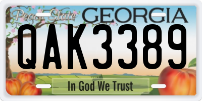GA license plate QAK3389