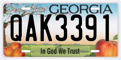 GA license plate QAK3391