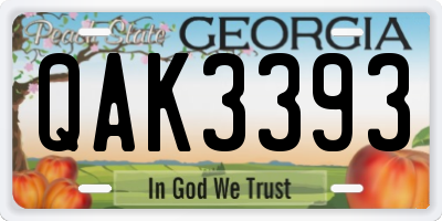 GA license plate QAK3393