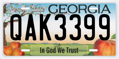 GA license plate QAK3399