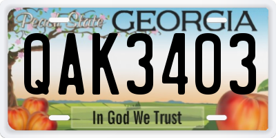 GA license plate QAK3403