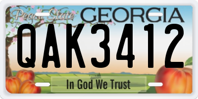 GA license plate QAK3412