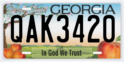 GA license plate QAK3420
