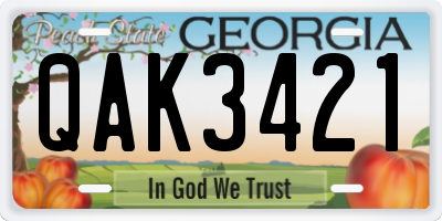 GA license plate QAK3421