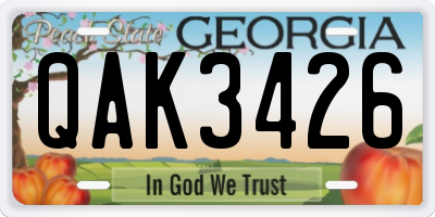 GA license plate QAK3426