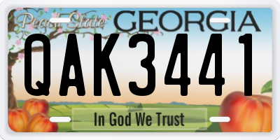GA license plate QAK3441