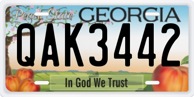 GA license plate QAK3442