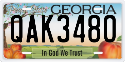 GA license plate QAK3480