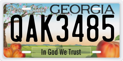 GA license plate QAK3485