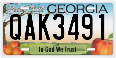 GA license plate QAK3491