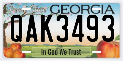 GA license plate QAK3493
