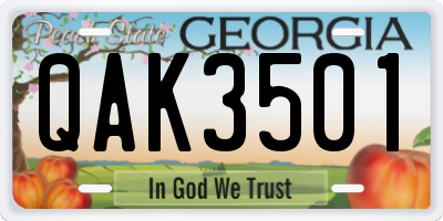GA license plate QAK3501