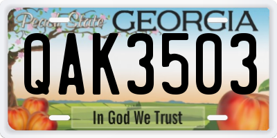 GA license plate QAK3503