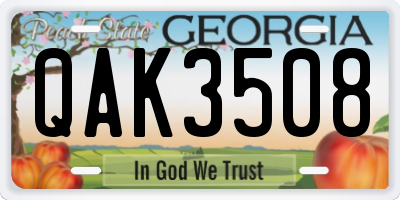 GA license plate QAK3508