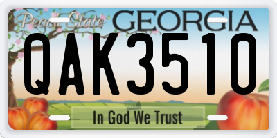GA license plate QAK3510
