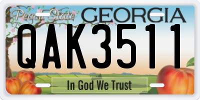 GA license plate QAK3511