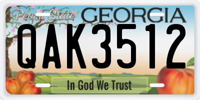 GA license plate QAK3512