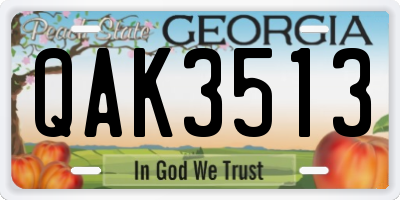 GA license plate QAK3513
