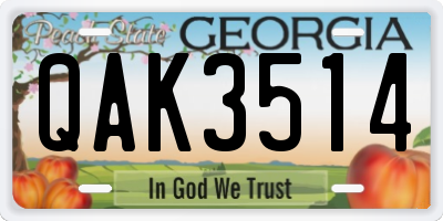 GA license plate QAK3514
